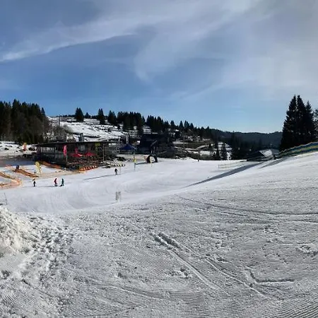 Apartment Feldberg Lounge - Residenz Grafenmatt Feldberg (Baden-Wurttemberg)